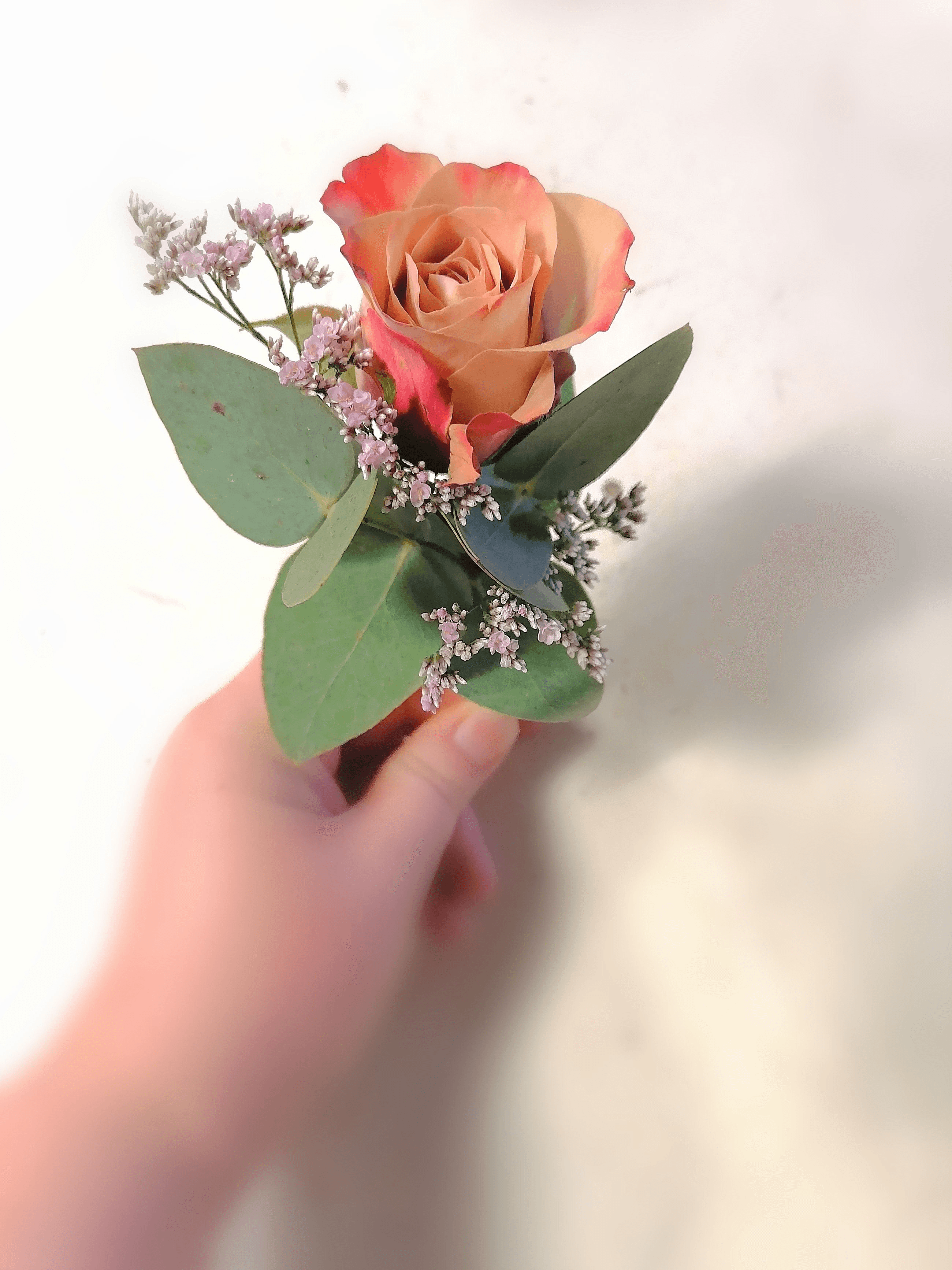 Anstecker für den Bräutigam von Floristik Köster in Dorsten – aus rosa Rose und kleinen Blüten, elegant und passend zum Brautstrauß